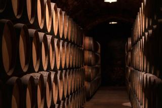 Panne de cave à vin : que faire tout de suite ?
