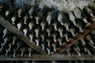 Conserver son vin : température, humidité, garde