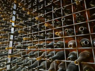 Réglage cave à vin : la mise en service pas à pas